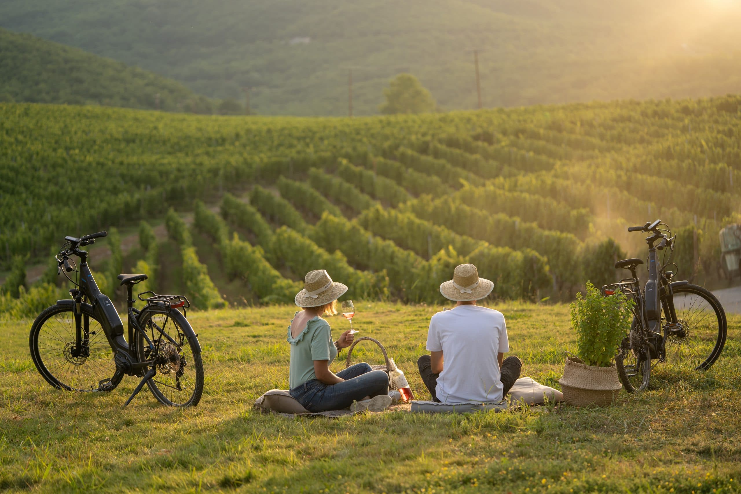 Kir-Yianni — Naoussa