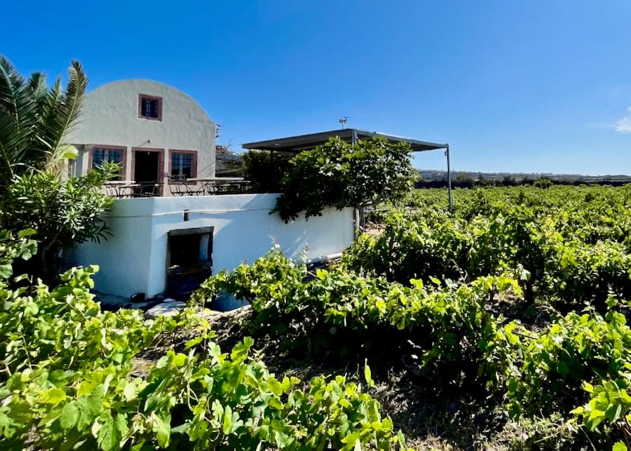 Domaine Sigalas — Santorini